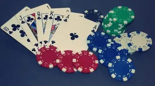 Live betting dashboard interface